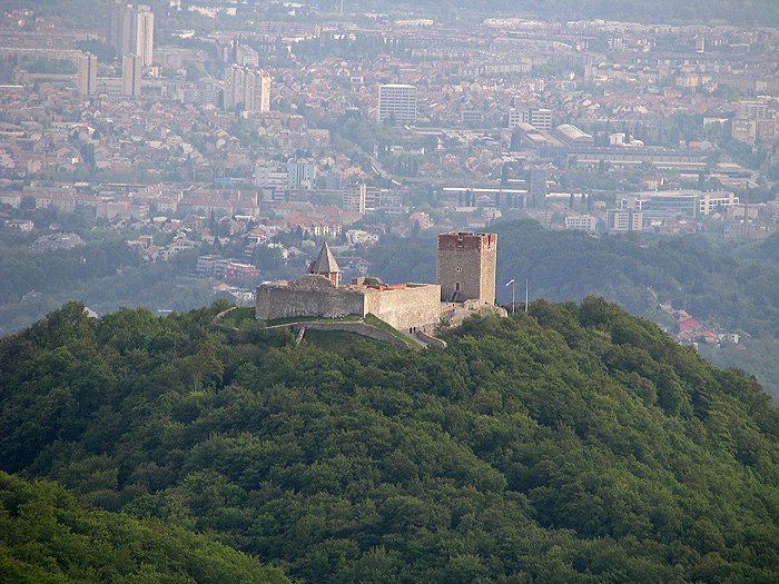 medved pogled