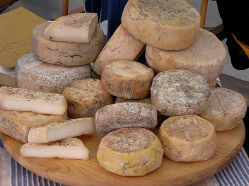 formaggio caprino - sabrinabarbante - in my suitcase 