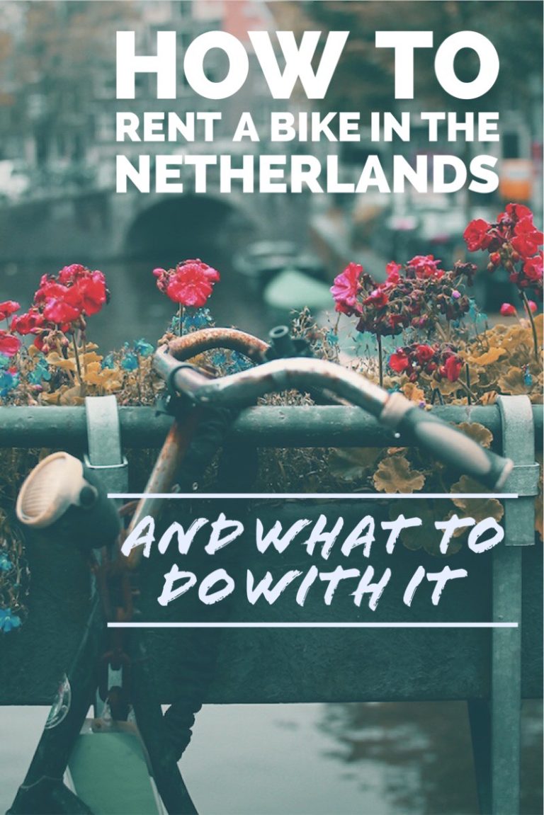 How to rent a bike in the Netherlands and how to fully enjoy it!