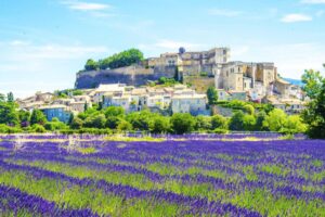 provenza