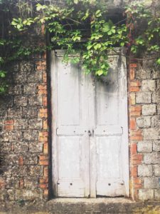 porta bianca su rudere dal quale escono rami di albero