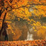 foliage_bucarest_viaggio autunno