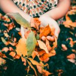 foliage_viaggio autunno