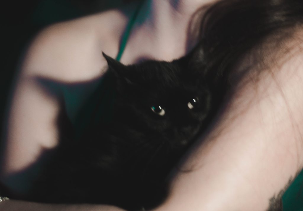 gatto nero rito pagano lettonia solstizio