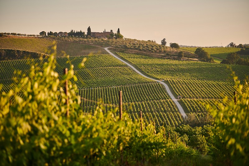 vacanza in toscana |ph. johny-goerend-unsplash