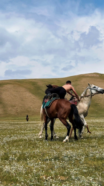 wrestling a cavallo Er Enish