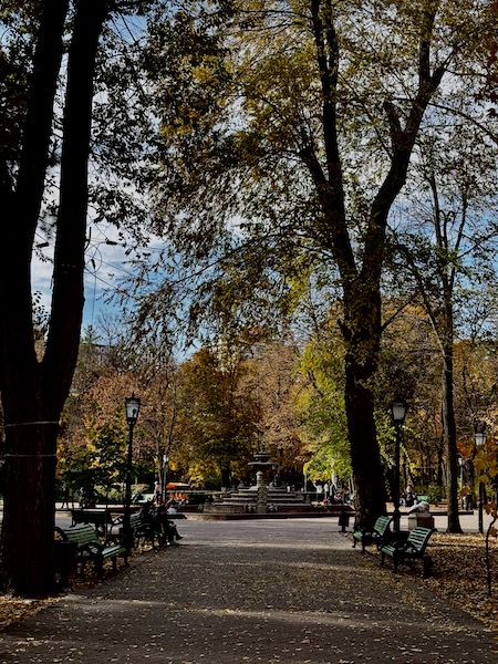 parco stefan cel mare chisinau